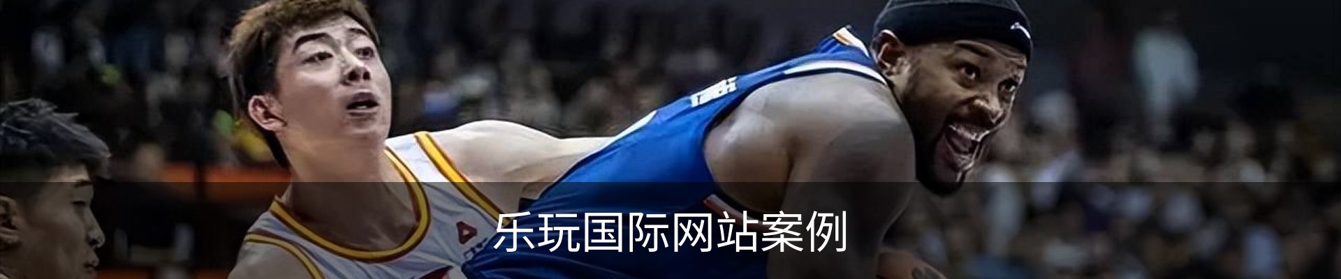 乐玩国际网站案例